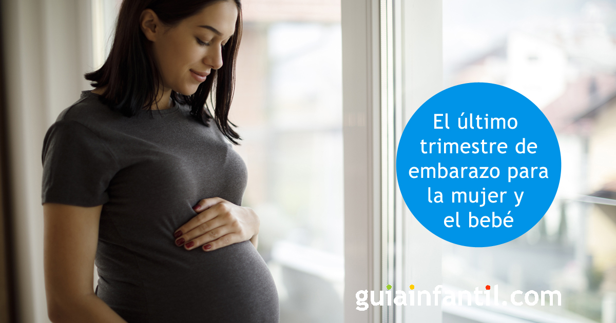 Tu embarazo mes a mes Cambios en la mujer embarazada y en el bebé