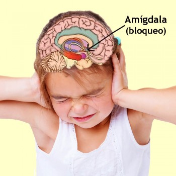 Datos Curiosos Sobre El Funcionamiento Del Cerebro Infantil Para