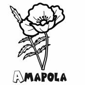 Dibujo  para imprimir y colorear de amapolas