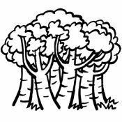 Dibujo para imprimir y pintar de un bosque