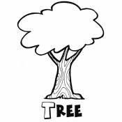 Dibujo de un árbol para imprimir y colorear
