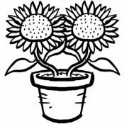 Dibujo para imprimir y pintar de girasoles