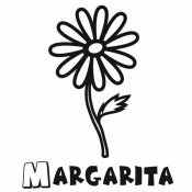Dibujo de una margarita para pintar