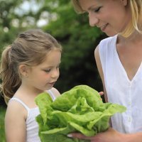 Manualidades para niños: Un huerto casero
