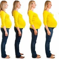 Embarazo. Cambios en el cuerpo de la mujer mes a mes