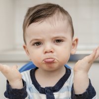 Respuestas a los por qué de los niños. La naturaleza