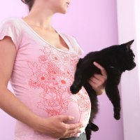 Toxoplasmosis en el embarazo