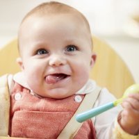 Introducir las papilas en la dieta del bebé lactante