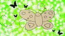 Cómo dibujar una mariposa. Dibujos infantiles