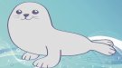 Dibujos para niños de animales marinos. Cómo dibujar una foca