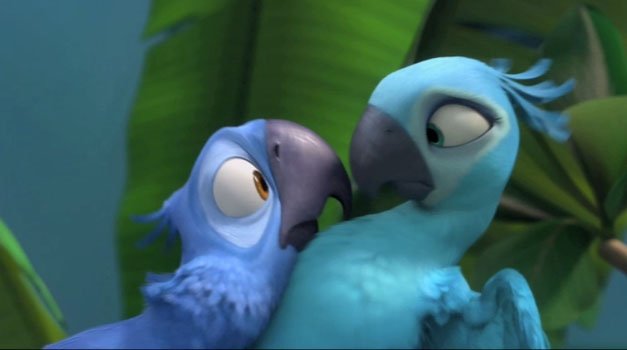 conoce a blu y perla los protagonistas de la pelicula rio