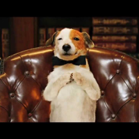 Pancho el perro millonario - Película para niños
