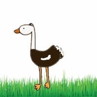 Aprende a dibujar una avestruz. Dibujos para niños