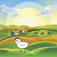 Dibujos para niños. Como dibujar una gallina
