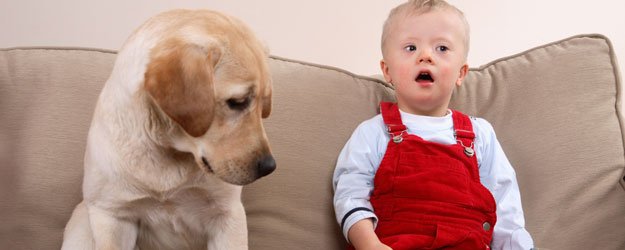 Beneficios de las terapias con animales para niños discapacitados