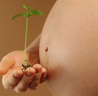 El cheque-bebé y el adelanto del parto