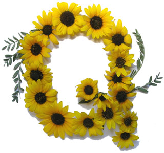 nombres con la letra Q