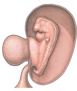 Braillín juguete Braille