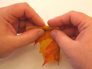 Haz un canuto con la hoja