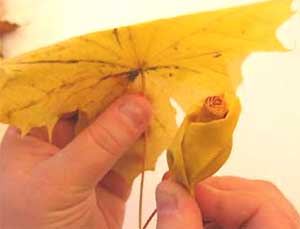 Forme la tercera capa de la flor