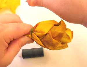 Ate la base de los pétalos