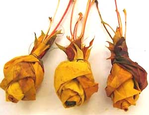 Haz otras flores y las reserve