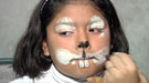 https://www.guiainfantil.com/videos/164/maquillaje-de-fantasia-de-conejo/