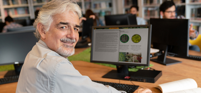 maestros influencers