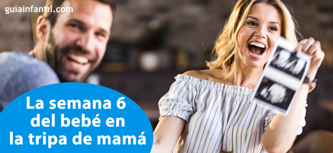 La semana 6 del bebé en la barriga de mamá 