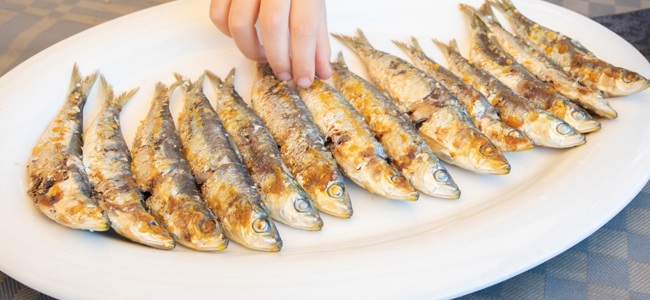 diferencias entre pescado azul y pescado blanco