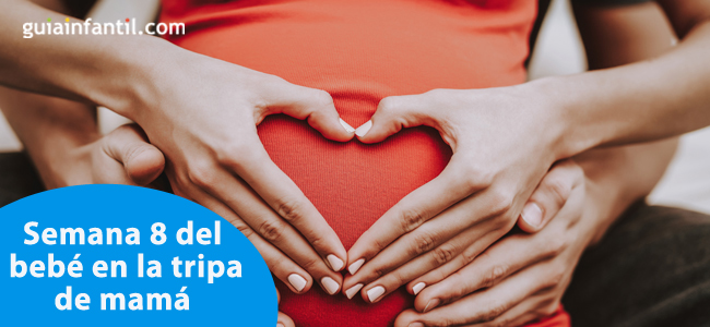 Semana 8 del bebé en la tripa de mamá
