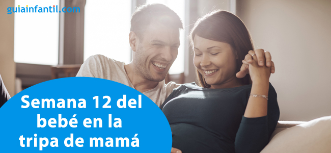 semana 12 del bebé en la tripa de mamá