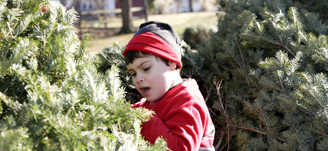 celebrar la navidad con niño con asperger