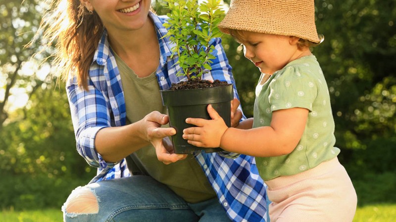 6 juegos de educación ambiental para acercar la naturaleza a los niños