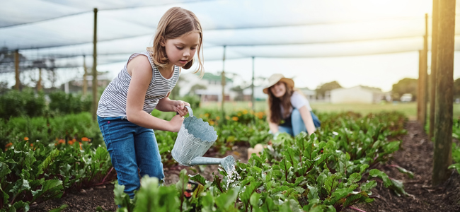 Beneficios del cuidado del medio ambiente para los niños