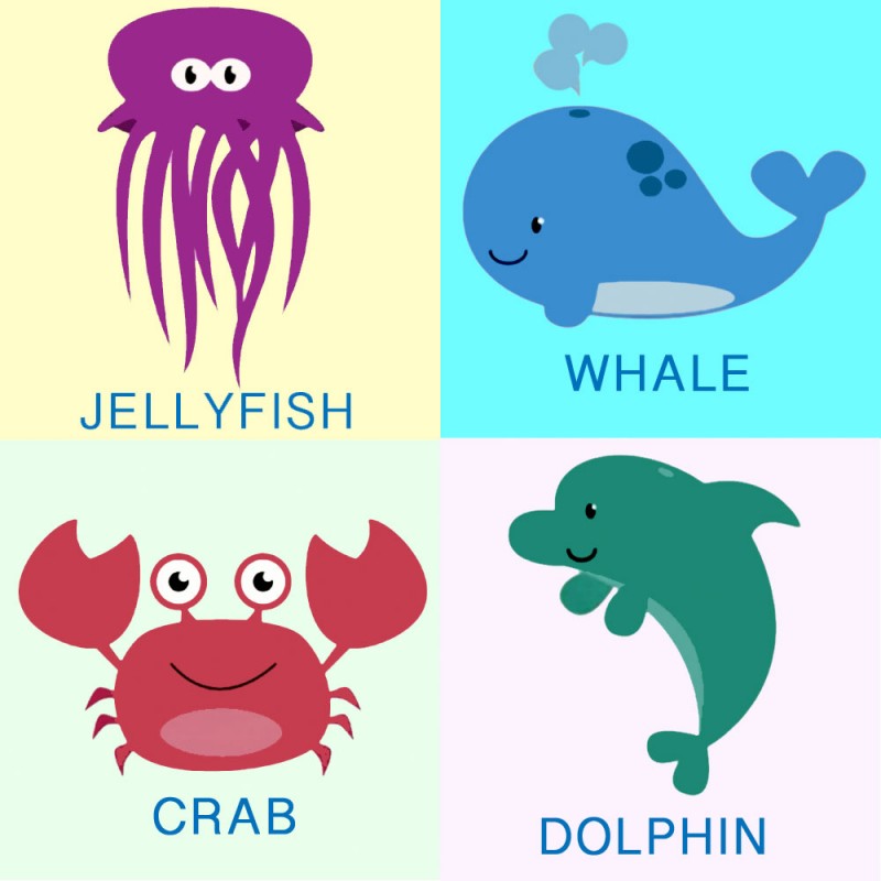 Aprende El Nombre De Los Animales Marinos En Ingles