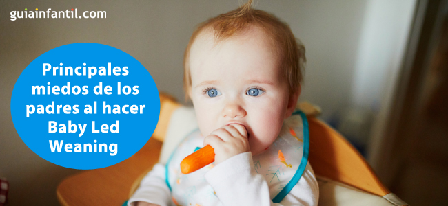 miedos del baby led weaning