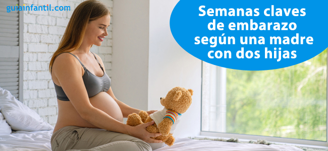 mis semanas claves de embarazo