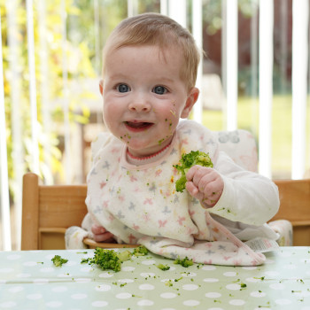 6 recetas para introducir sólidos al niño con el Baby Led Weaning