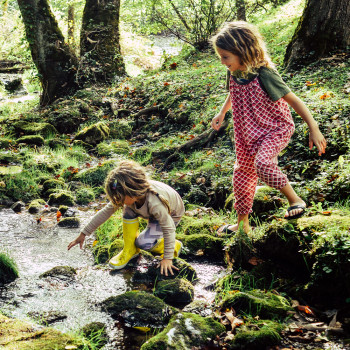 Los tesoros naturales, juego para acercar a los niños a la naturaleza