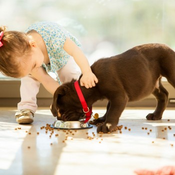 Las tareas de los niños con su mascota según su edad