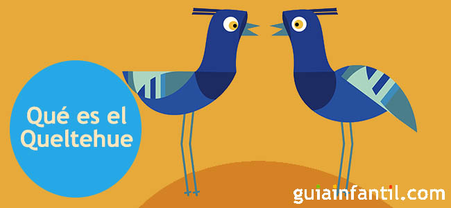 El pájaro Queltehue