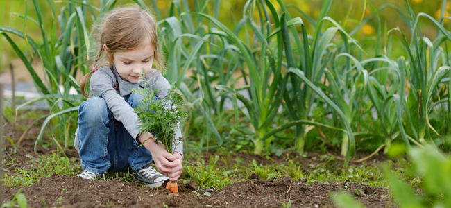 Actividades de la naturaleza para los niños