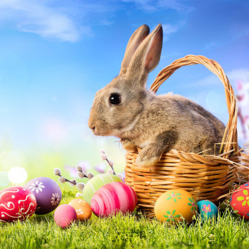 La leyenda del conejo de Pascua para niños