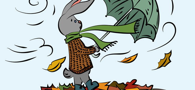 poema sobre un conejito