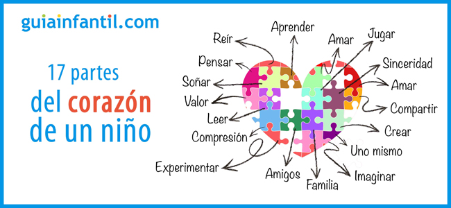 las partes del corazón de un niño
