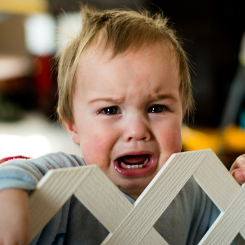Las fieras rabietas de los niños de un año y cómo manejarlas