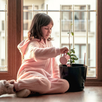 Que los niños conecten con la naturaleza en casa