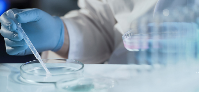 la congelación y vitrificación de óvulos