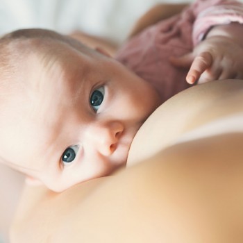 Bebés lactantes con alergia a la proteína de la leche de vaca: cuidados especiales